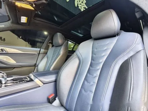 BMW 8-Series Gran Coupe M850i xDrive 照片 12
